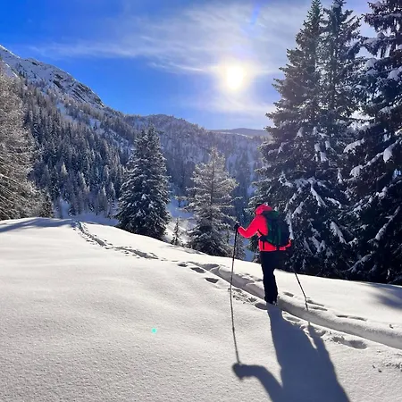 Standlhof Zillertal 2*
