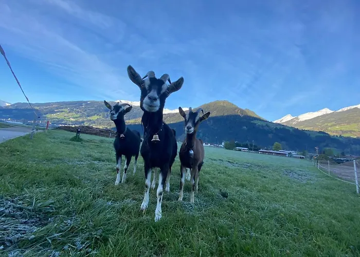 Standlhof Zillertal Hotel