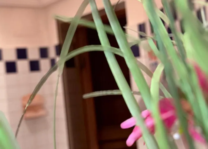 Hotel Standlhof Zillertal