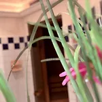 Hotell Standlhof Zillertal